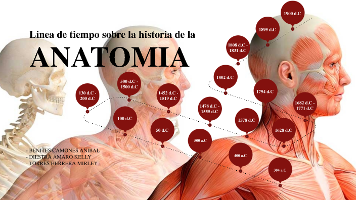 LINEA DE TIEMPO SOBRE LA HISTORIA DE LA ANATOMIA by DIESTRA AMARO KELLY