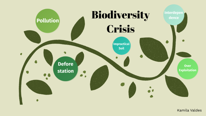 Biodiversity Crisis By Kam On Prezi