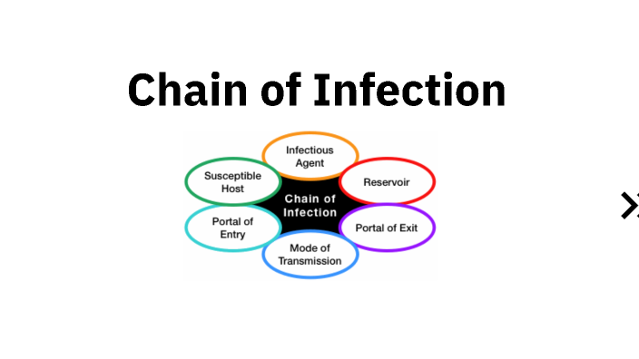 Chain of Infection by Amanda Robinson on Prezi