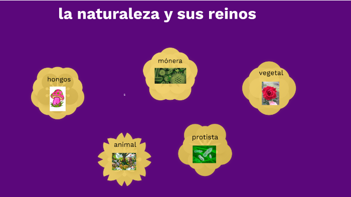 los reinos de la naturaleza by luisa fernanda navarro perez on Prezi