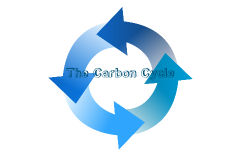 The Carbon Cycle by Olivet Martinez on Prezi