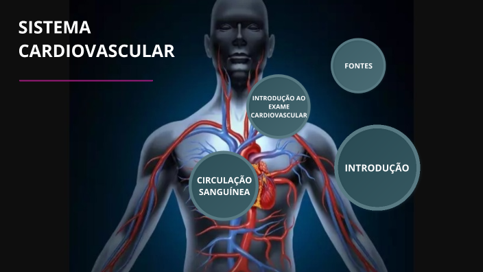 Sistema Cardiovascular by Shirley Feitosa Lopes on Prezi