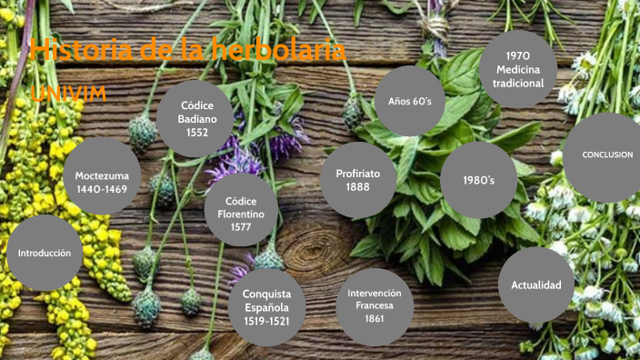 Historia de la herbolaria by ANA LUISA VILLASEÑOR on Prezi