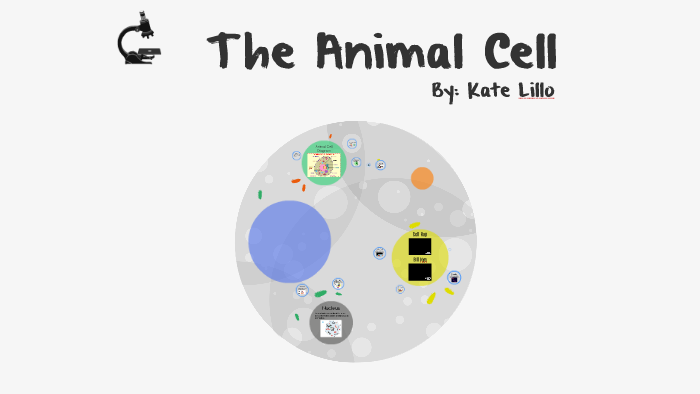 The Animal Cell by Kate Lillo on Prezi