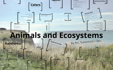 Grade 3 Animals and Ecosystems by Stephanie South on Prezi