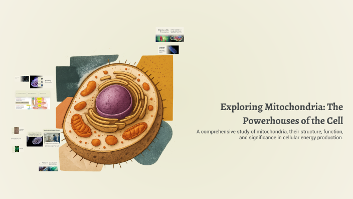 Exploring Mitochondria: The Powerhouses of the Cell by K T on Prezi
