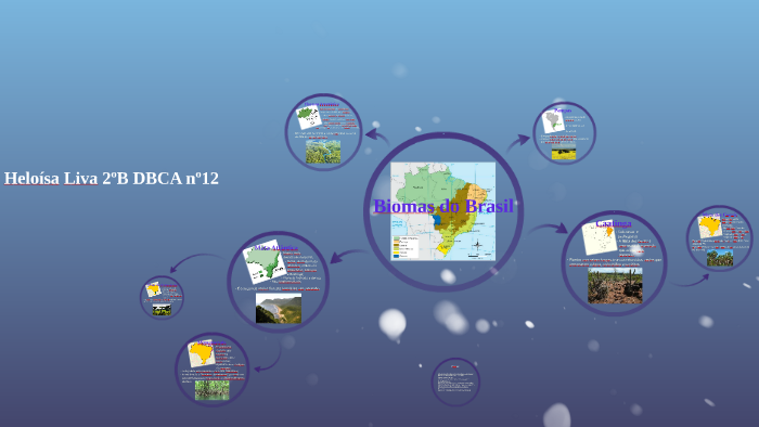 Biomas do Brasil by Heloísa Liva on Prezi