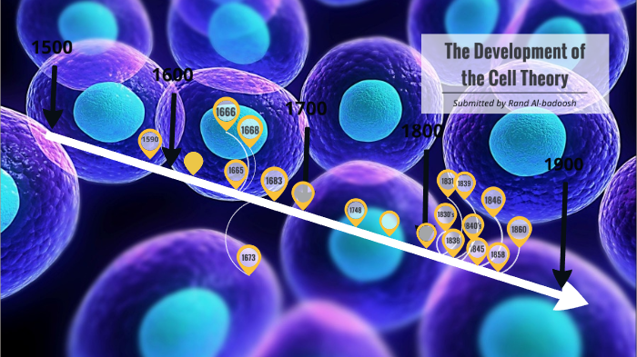 The Development of the Cell Theory by Rand Al-Badoosh (STUDENT) on Prezi