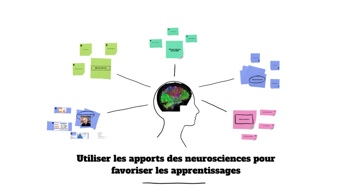 Utiliser les apports des neurosciences pour favoriser les ...