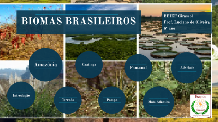 BIOMAS BRASILEIRO by luciano lima on Prezi