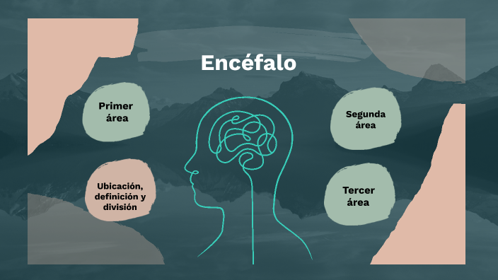 cerebro by Alejandra soria on Prezi