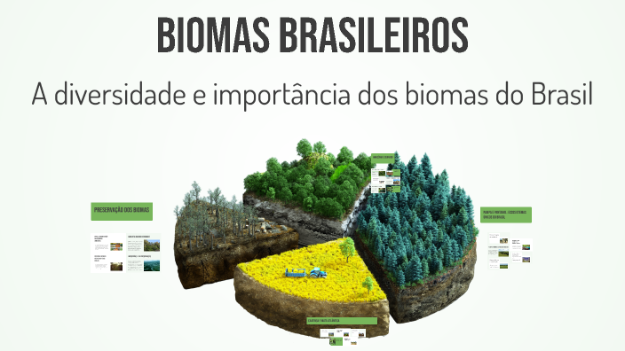 Biomas Brasileiros by Talita Fernanda on Prezi