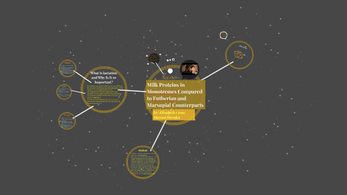 Milk Proteins in Monotremes Compared to Eutherian and Marsup by Marisol ...