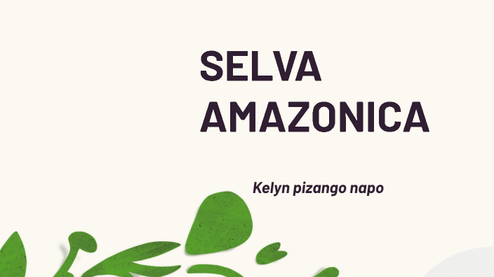 selva amazonica by Seminaristas Pucallpa on Prezi