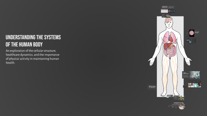 Understanding the Systems of the Human Body by Laura Vlah on Prezi