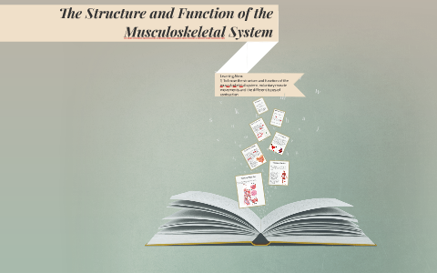 The Structure and Function of the Musculoskeletal System by Jordan Wood ...