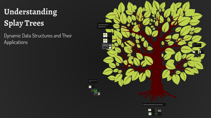 Understanding Splay Trees by Hemendar on Prezi