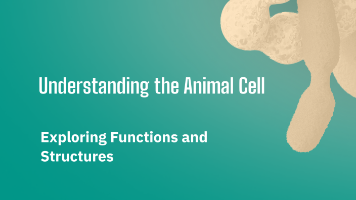 Understanding the Animal Cell by Naman Sitlani on Prezi