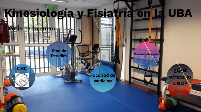 Calendario academico kinesiologia uba 2