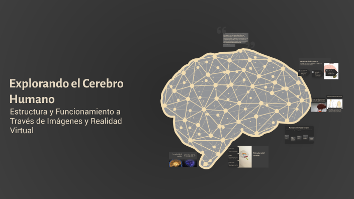 Explorando el Cerebro Humano by marileidy Ramirez novas on Prezi