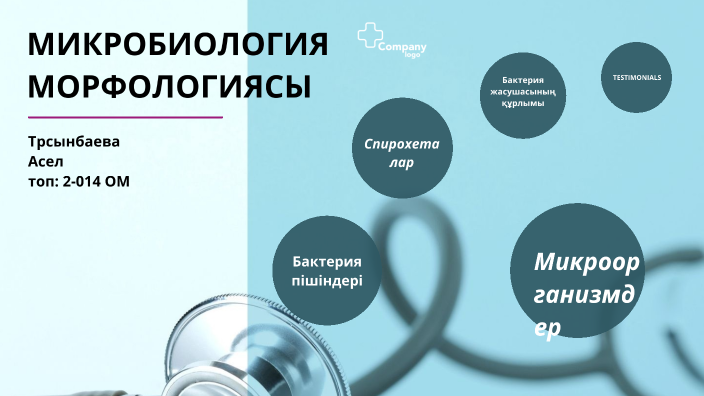 Микробиология by Асель Турсынбаева on Prezi