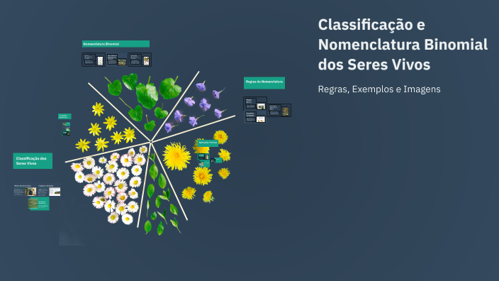 Classificação e Nomenclatura Binomial dos Seres Vivos by bcc gujbb on Prezi