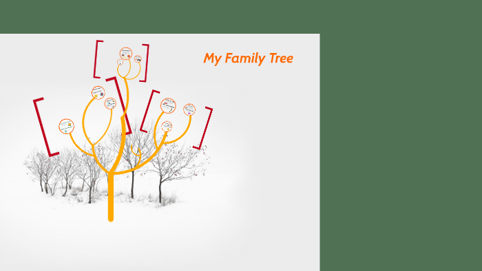 My Family Tree by Kristen Hackett on Prezi