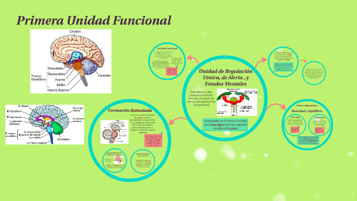 Primera Unidad Funcional by Maju Cagliero on Prezi