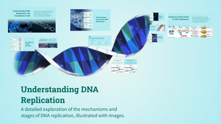 Understanding DNA Replication by dawa Zangmo on Prezi