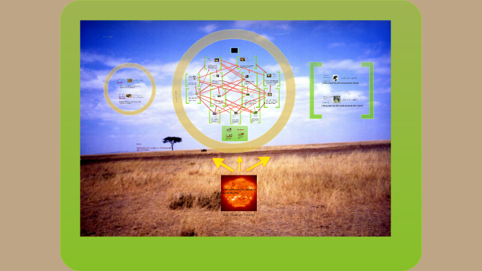 Food Web (the savanna ecosystem) by Rostam Shams on Prezi