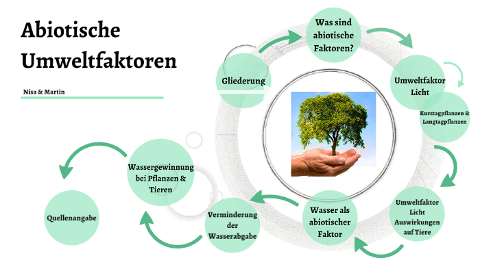Abiotisch Und Biotische Umweltfaktoren Abiotische Umweltfaktoren by Nisa Karacaer on Prezi