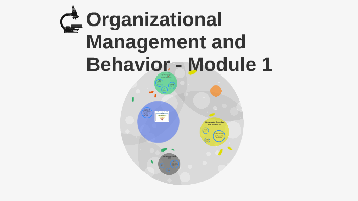 Organizational Management and Behavior - Module 1 by Chris Wright on Prezi