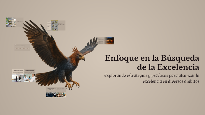 Enfoque en la Búsqueda de la Excelencia by Diana Patricia Pinargote ...
