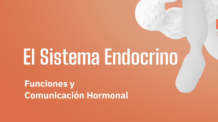 El Sistema Endocrino by Frida Baez on Prezi