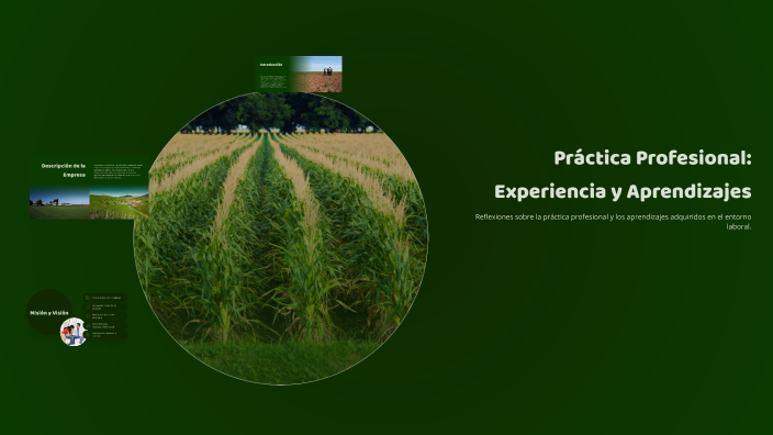 Práctica Profesional: Experiencia y Aprendizajes by Bryan Medina on Prezi