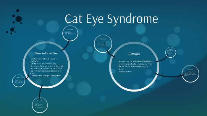 Cat Eye Disease By Quinn Ryan On Prezi 7905