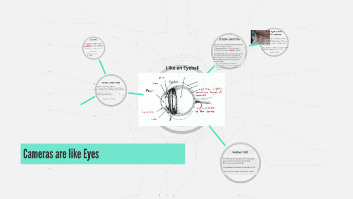 CAMERA ANALOGY by Anna Rebek on Prezi