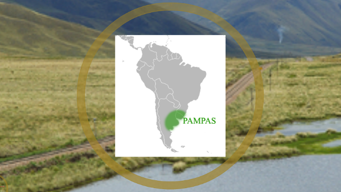 Bioma Pampas by lorena maia on Prezi