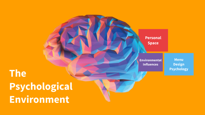 cb-the-psychological-environment-by-natasha-sohail-on-prezi-next