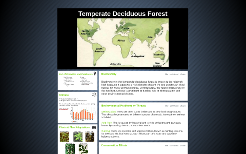 Temperate Deciduous Forest by Priscilla So on Prezi
