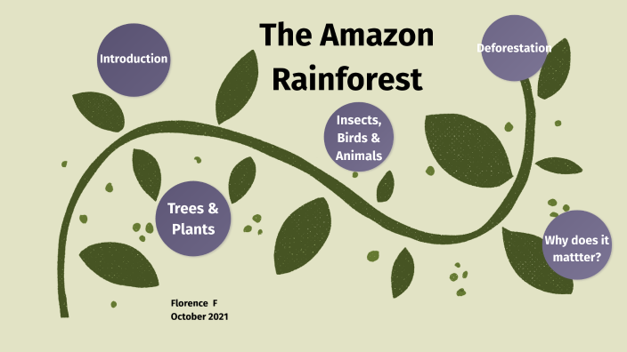 FF The Amazon Rainforest by Sonia Nice on Prezi