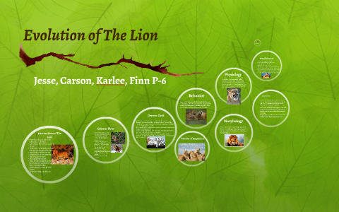 Evolution of The Lion by Jesse Hernandez on Prezi