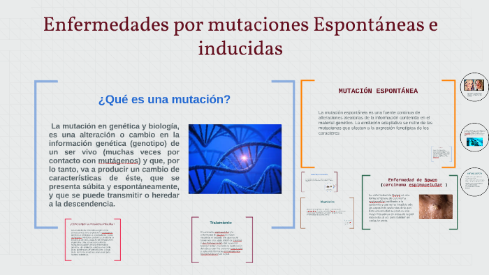 Enfermedades Por Mutaciones Espontaneas E Inducidas By Zubgaris Lombardo On Prezi Next