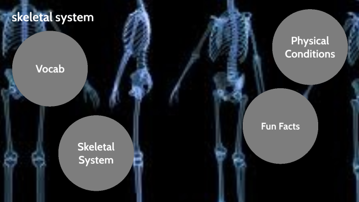 skeletal system by Charles Page on Prezi