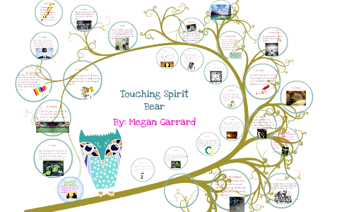 Touching Spirit Bear Abc S By Megan Garrard