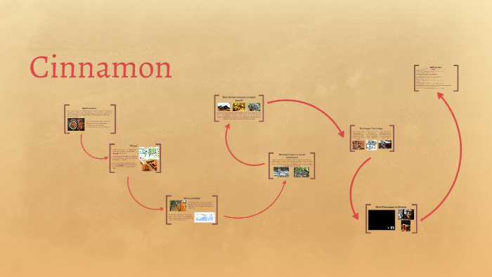 Cinnamon by Renee Lao on Prezi