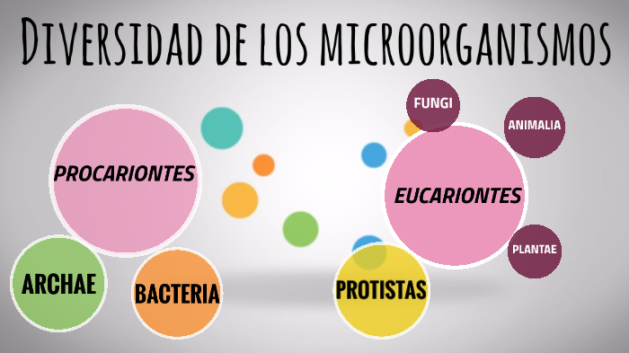 DIVERSIDAD DE LOS MICROORGANISMOS by Johana Rosales on Prezi