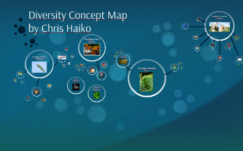 Diversity Concept Map by Chris Haiko on Prezi