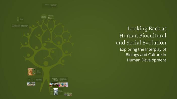 Looking Back at Human Biocultural and Social Evolution by Lea Micah ...