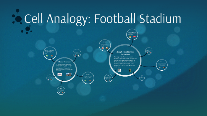 Cell Analogy: Football Stadium by Caitlyn Campbell on Prezi